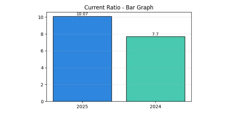 VTM Ltd. (F.Y. 2024-2025)
